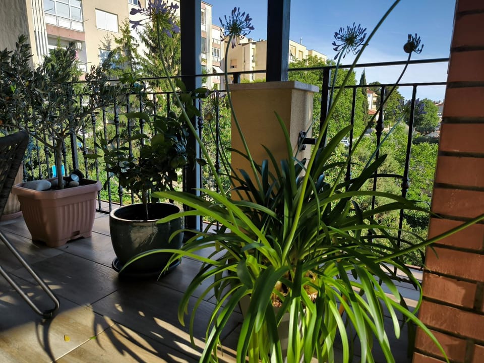 Art Apartment Sole Apartment in Pula
