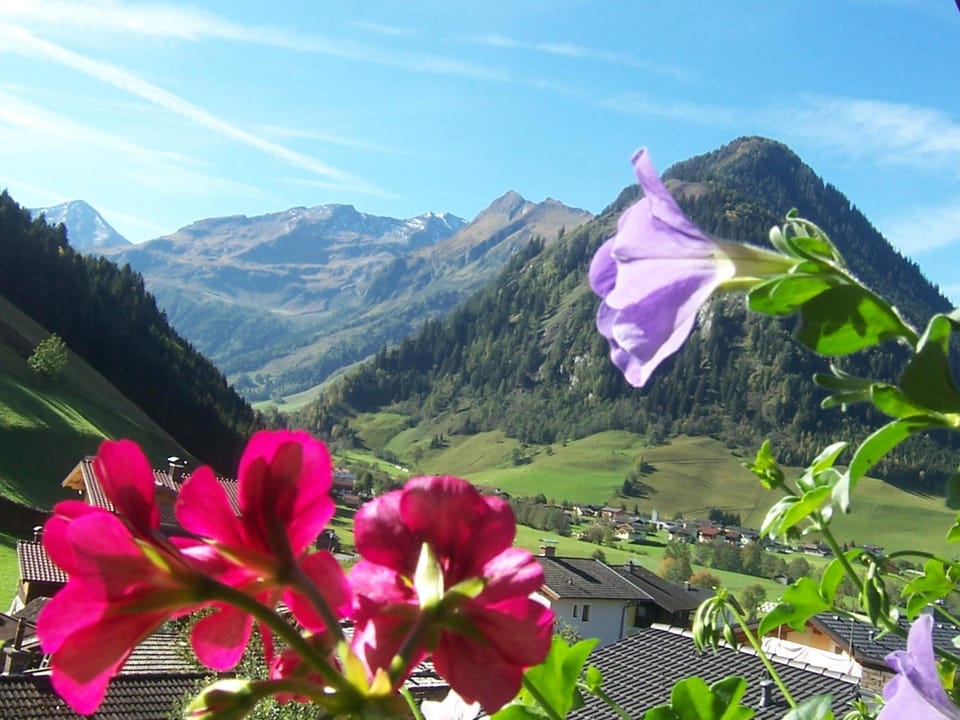 Garden view, Mountain view