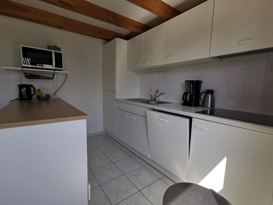 Kitchen or kitchenette, dishwasher, pet friendly, stove