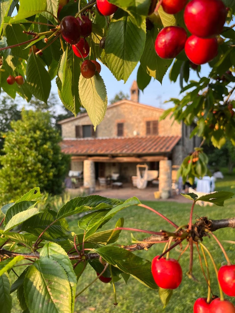 Garden, Garden view