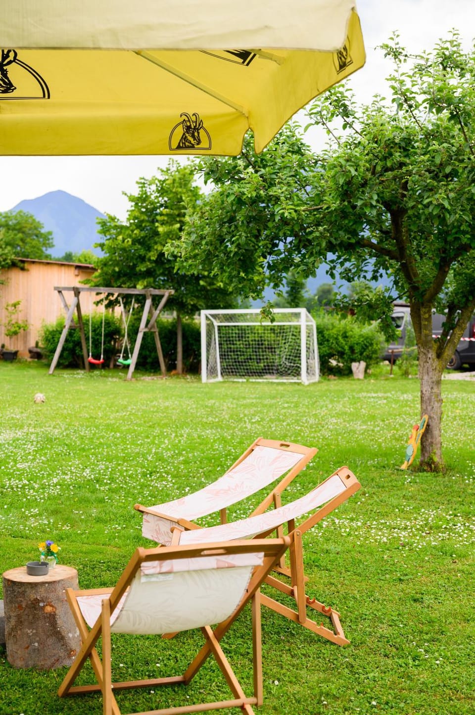 Natural landscape, Garden, sunbed
