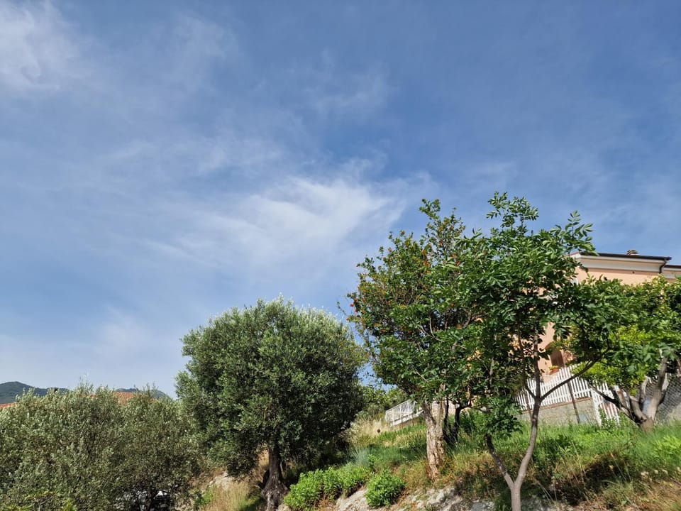 Gemy Bed and Breakfast in Liguria