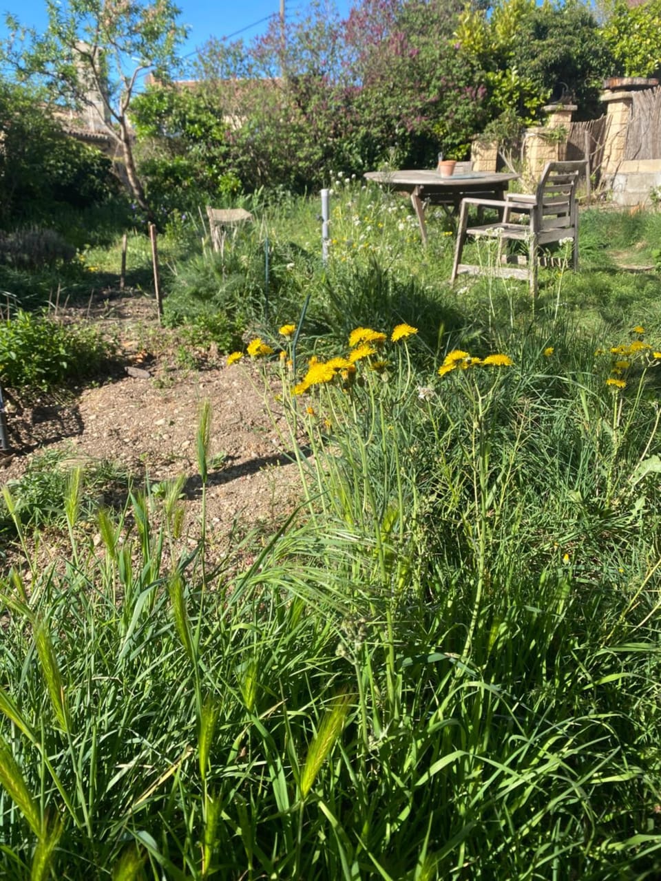 Chambre, terrasse , salle de bains toilettes privé Vacation rental in Valensole