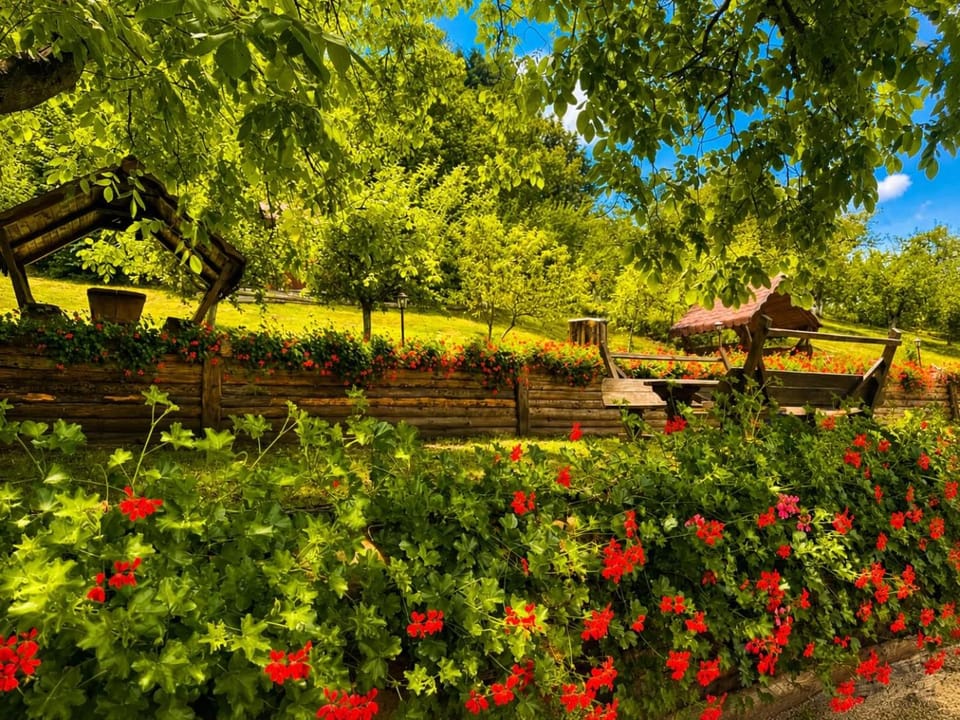 Casa Adalmo Bed and Breakfast in Romania