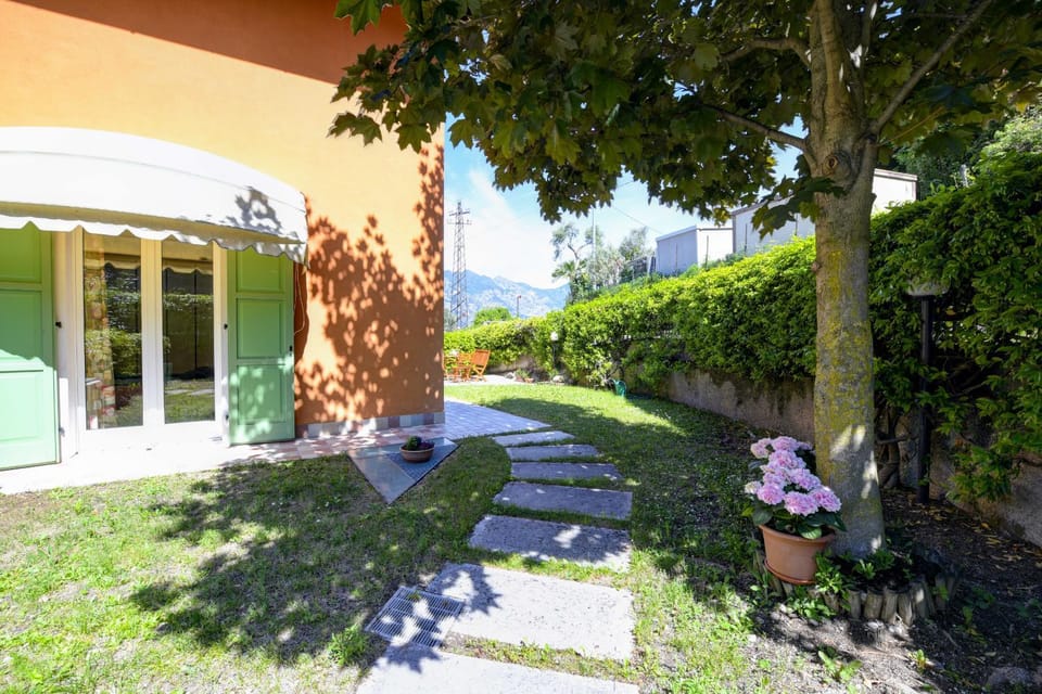 Patio, Garden, Garden view