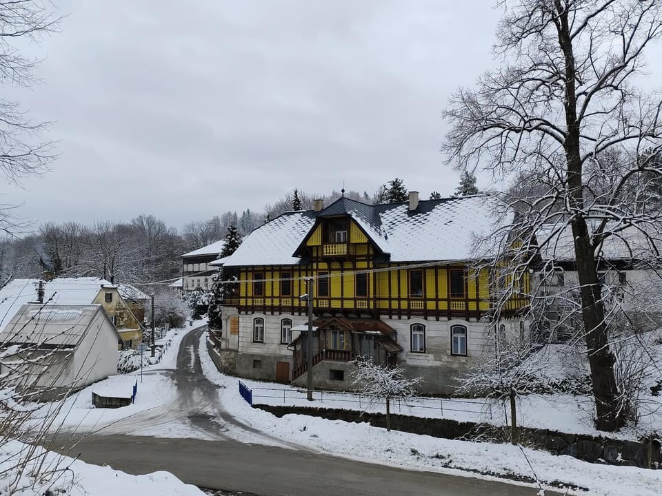 Winter