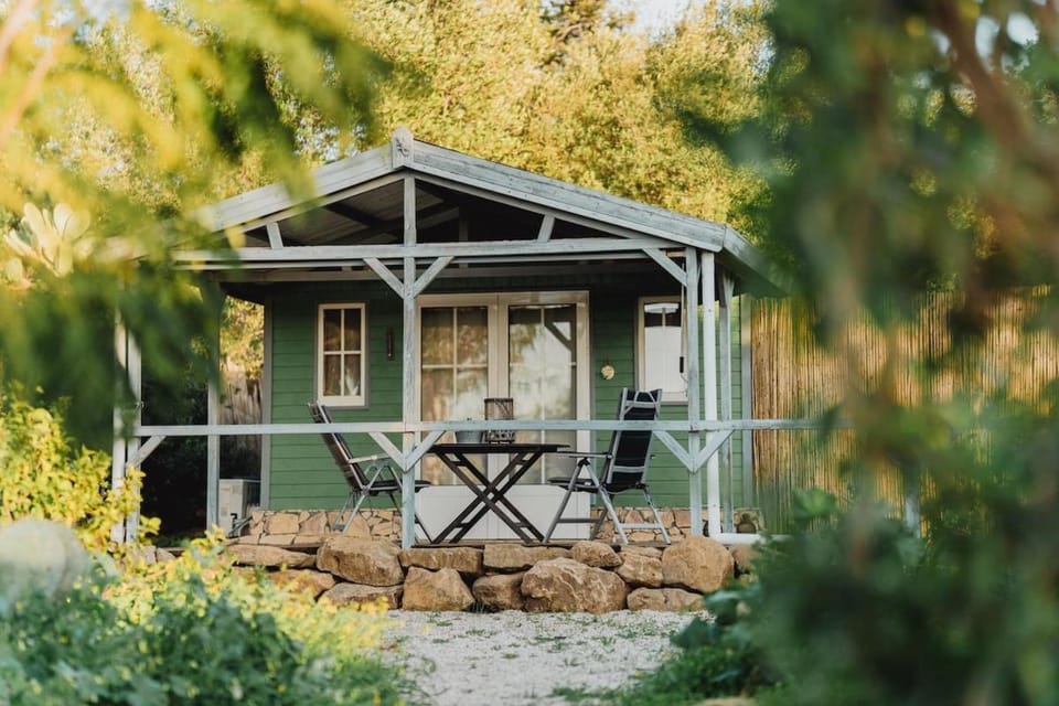 Patio, Garden view