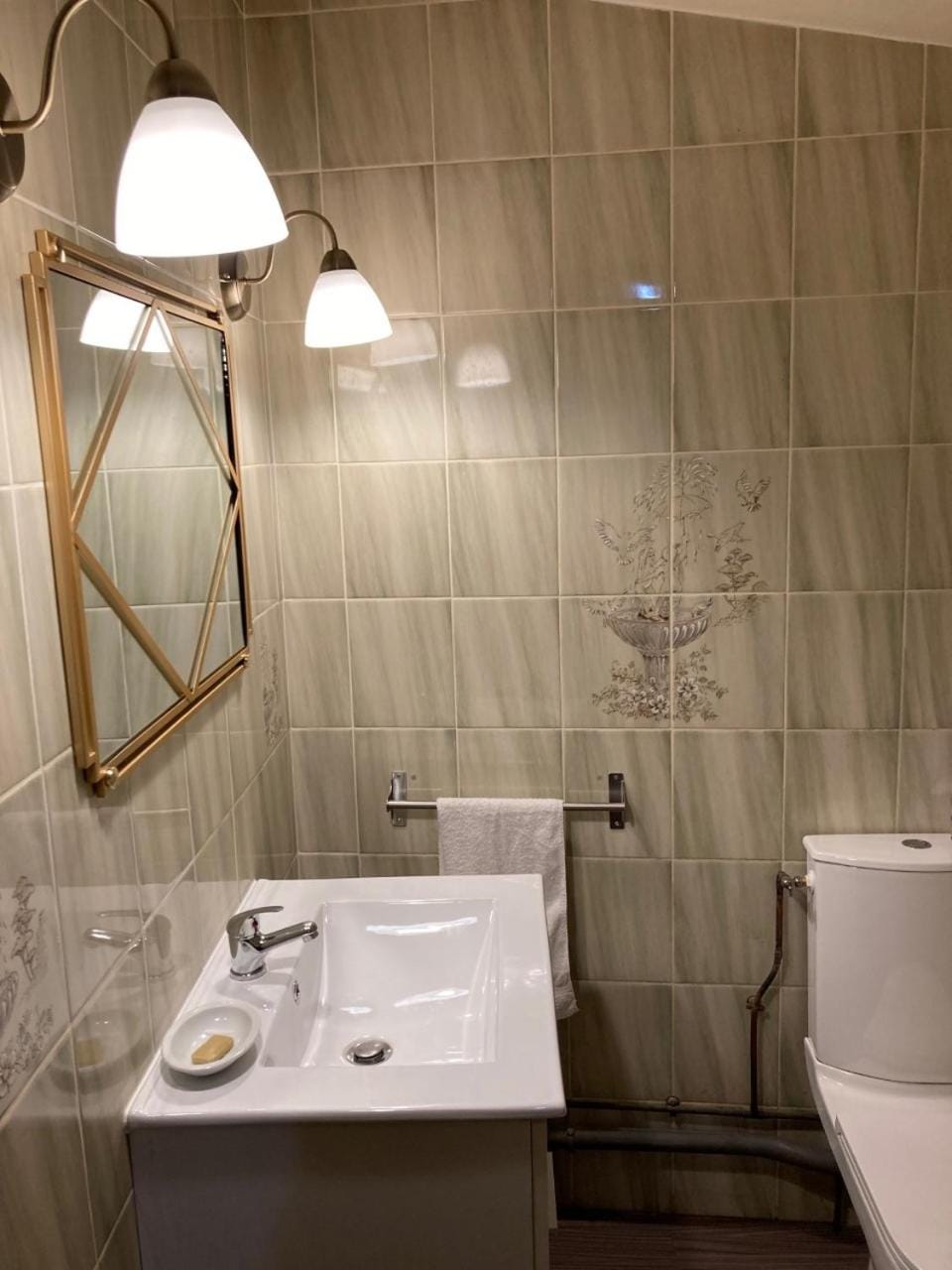 Toilet, Toilet