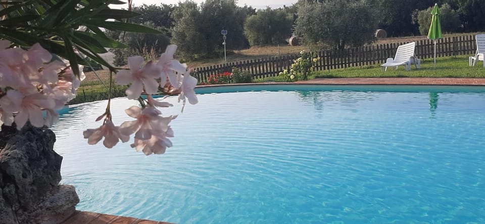 Agriturismo Bio Pian Dei Casali Farm Stay in Lazio