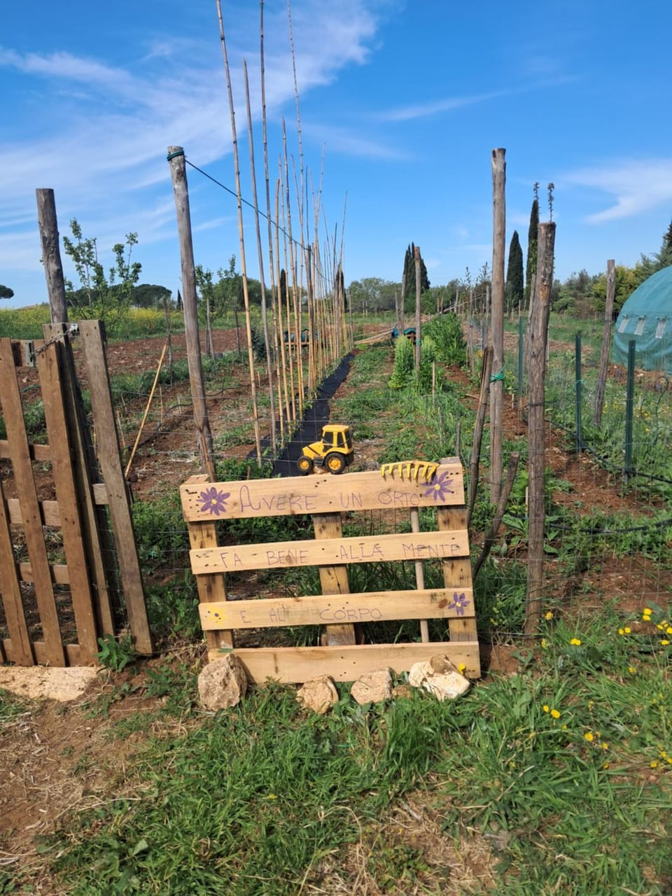 Agriturismo Bio Pian Dei Casali Farm Stay in Lazio