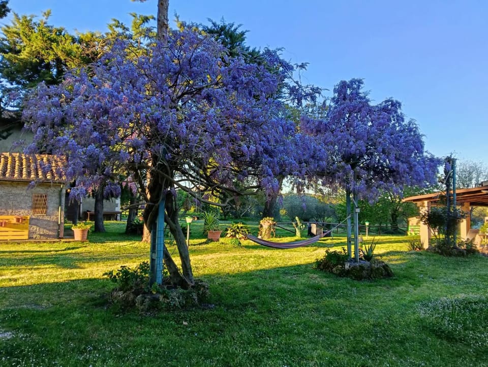 Agriturismo Bio Pian Dei Casali Farm Stay in Lazio