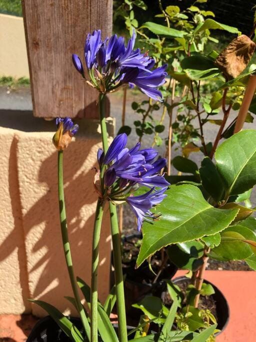 La Boetienne Appartement jardin à Sarlat House in Occitanie