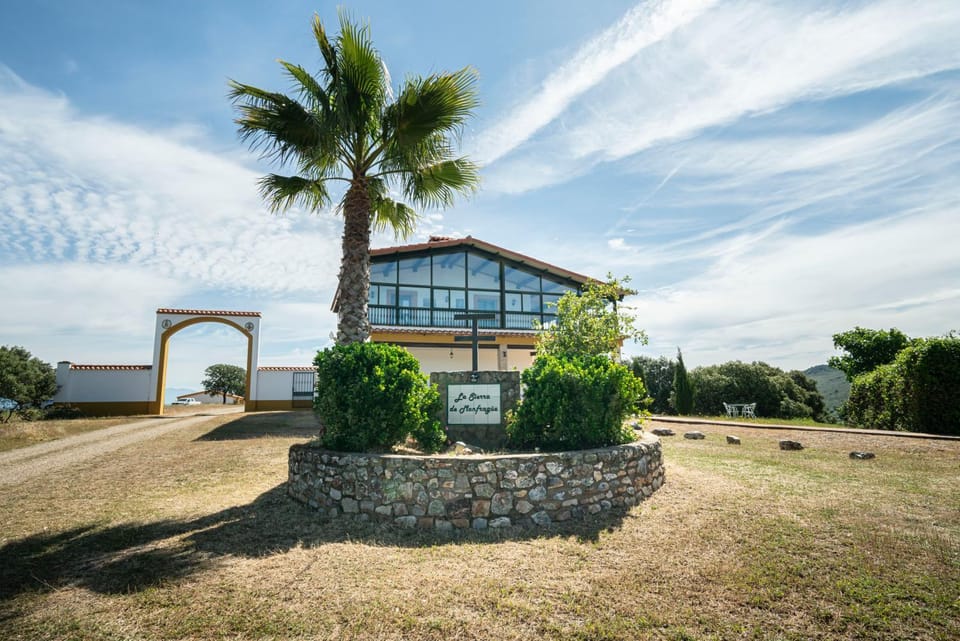 Facade/entrance, Lobby or reception