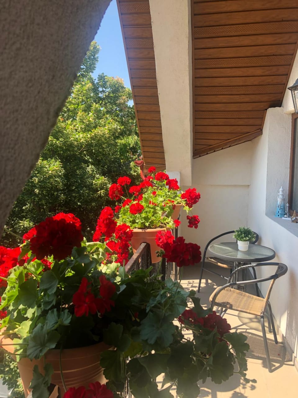 Balcony/Terrace