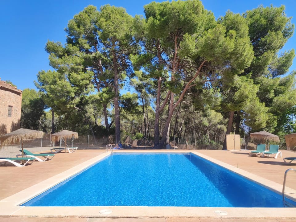 Solarium, Swimming pool, Open Air Bath