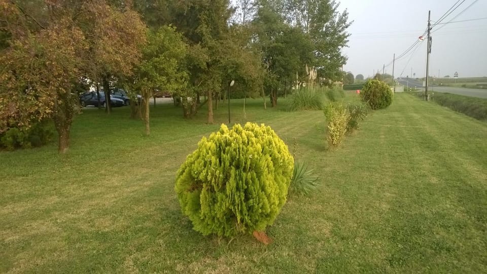Day, Garden