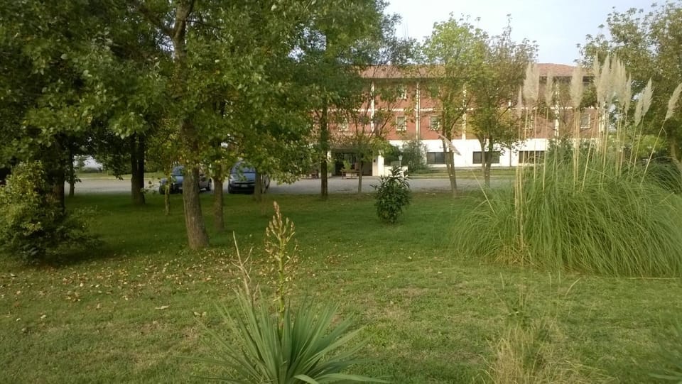 Day, Garden