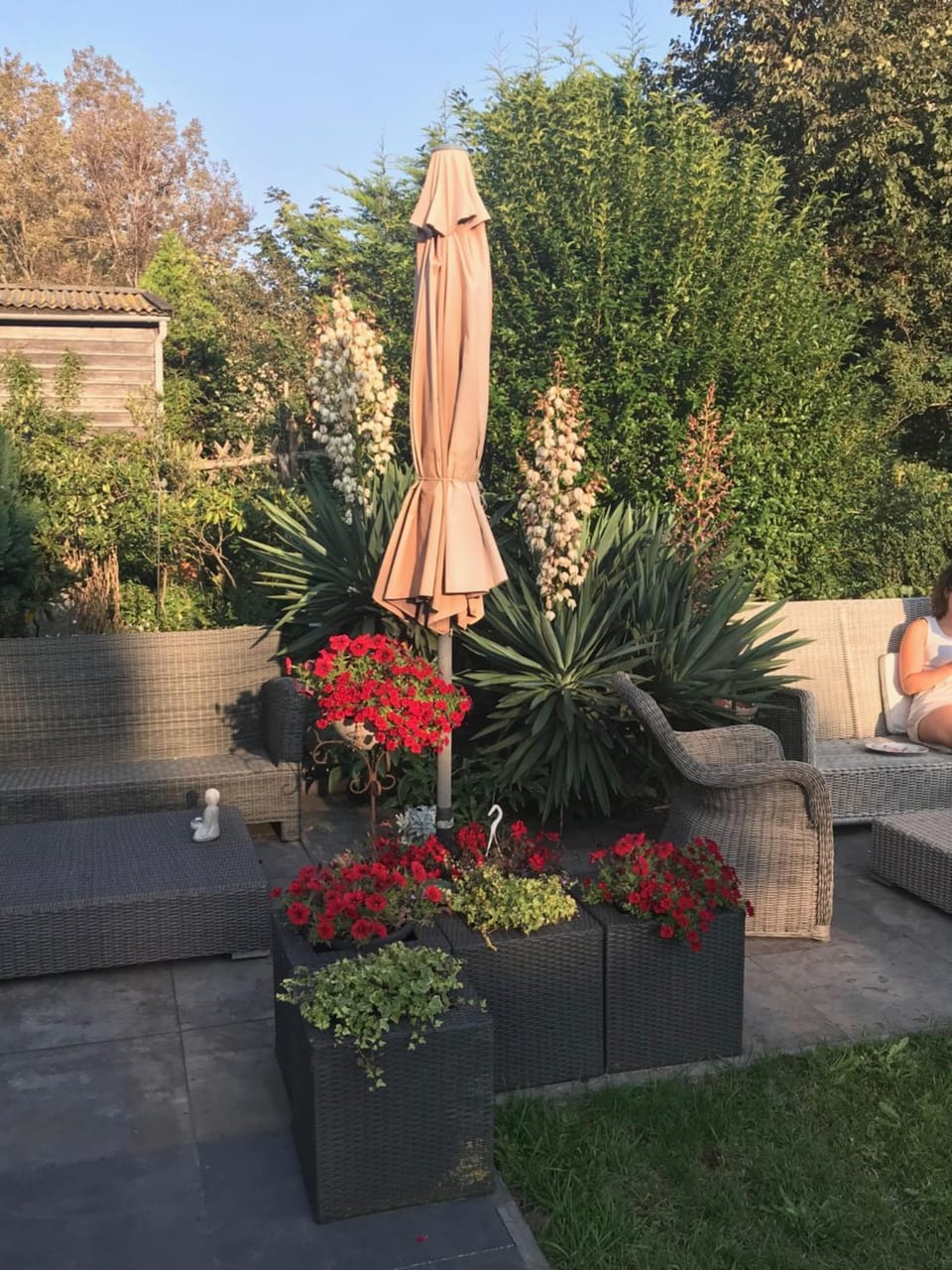 Garden view