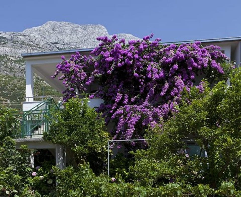 Facade/entrance, Garden