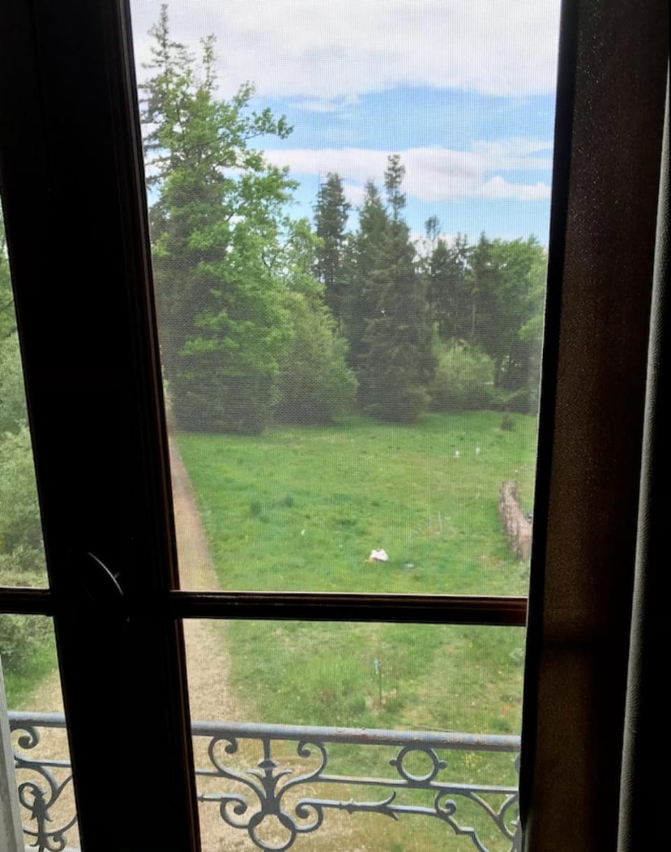 View (from property/room)
