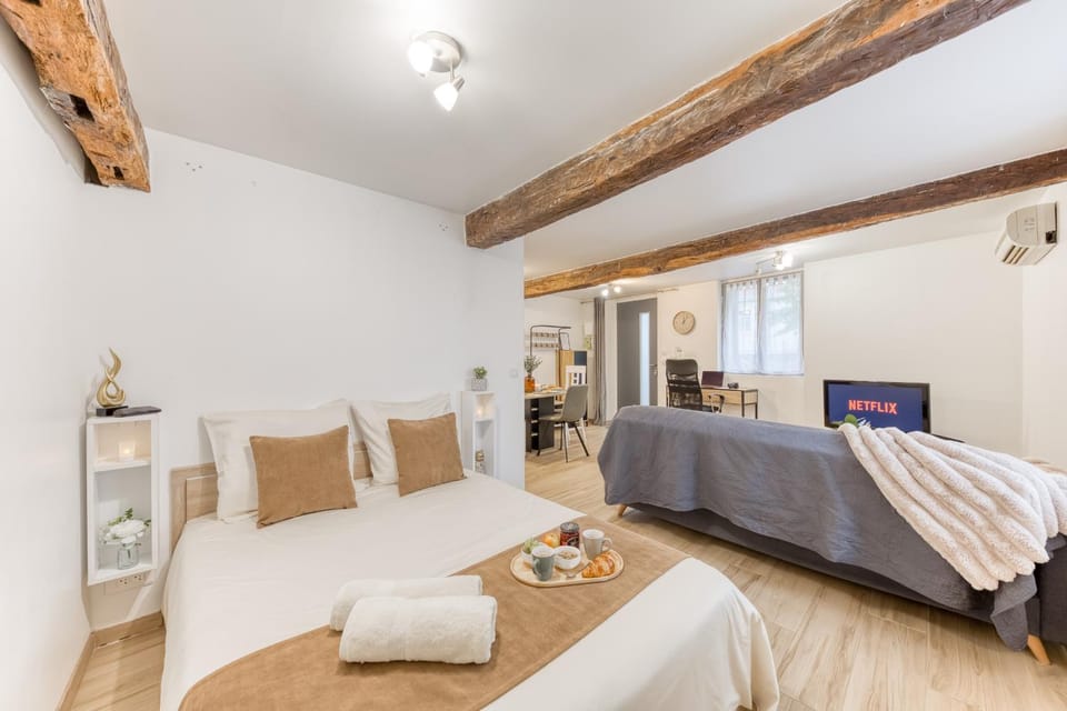 Le loft de Saint-Gaudens - confort et central Apartment in Occitanie