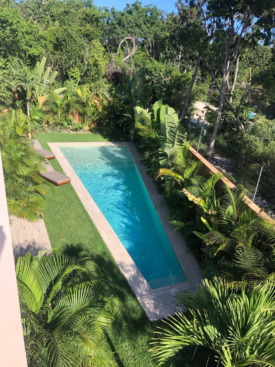 Day, Garden, Garden view, Swimming pool