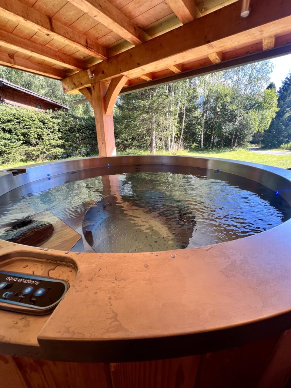 Chalet Isabelle Mountain lodge 5 stars 6 bedroom en suite sauna spa inox Chalet in Chamonix