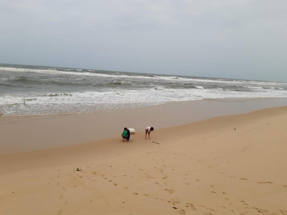 Beach