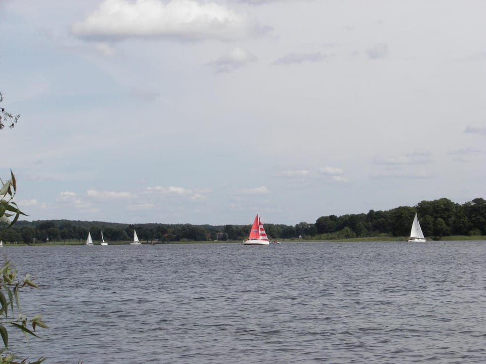 Lake view