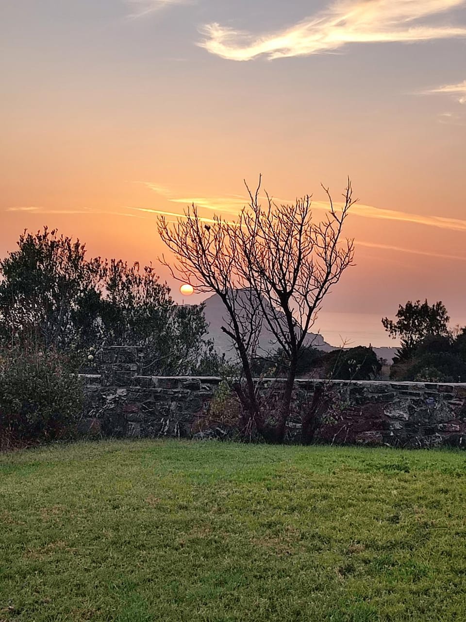 Natural landscape, Garden, Sunset