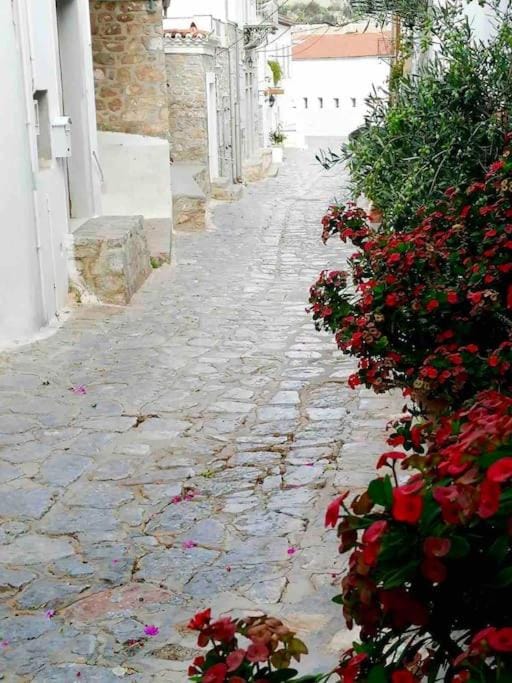 Hydra's Hidden Gem Apartment in Islands