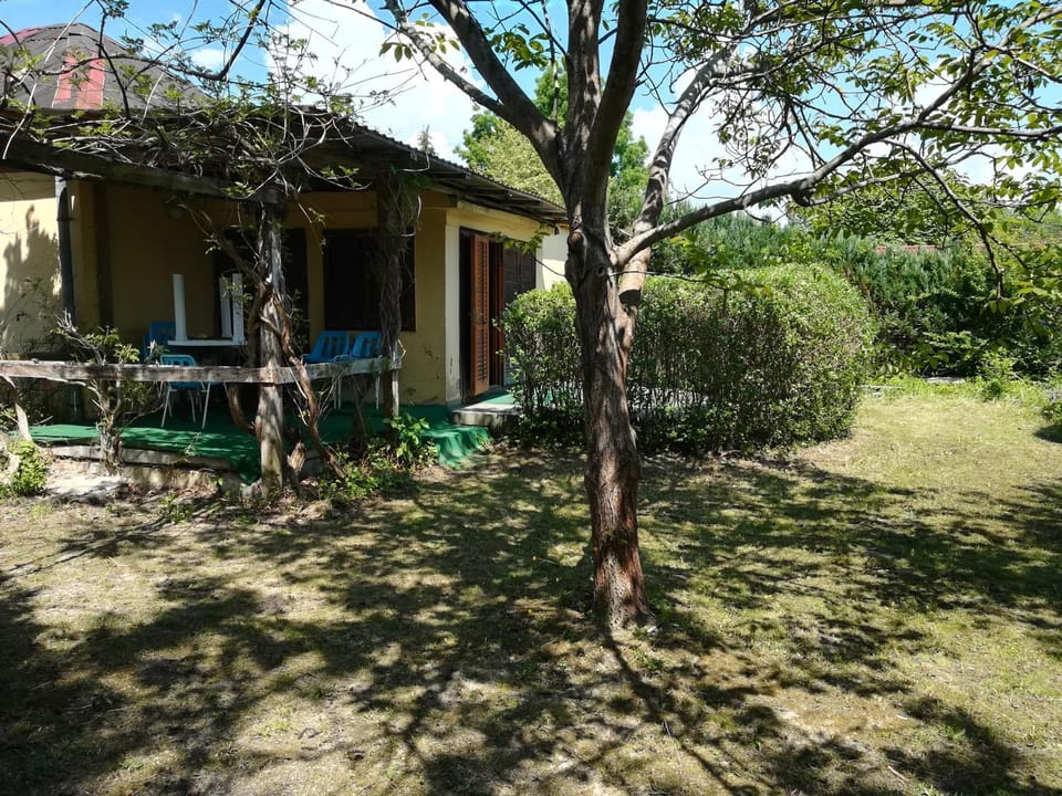 Property building, Facade/entrance, Garden
