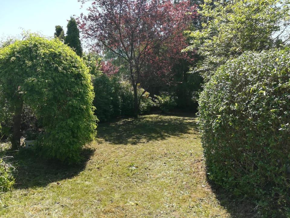 Garden, Garden view