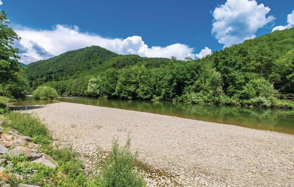 Natural landscape