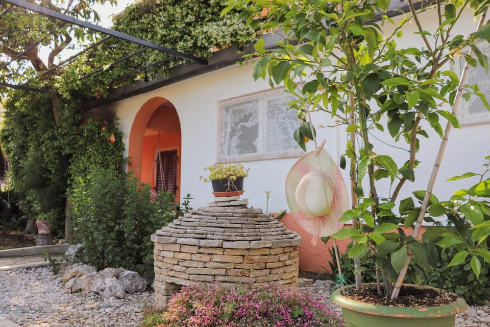 Facade/entrance, Garden