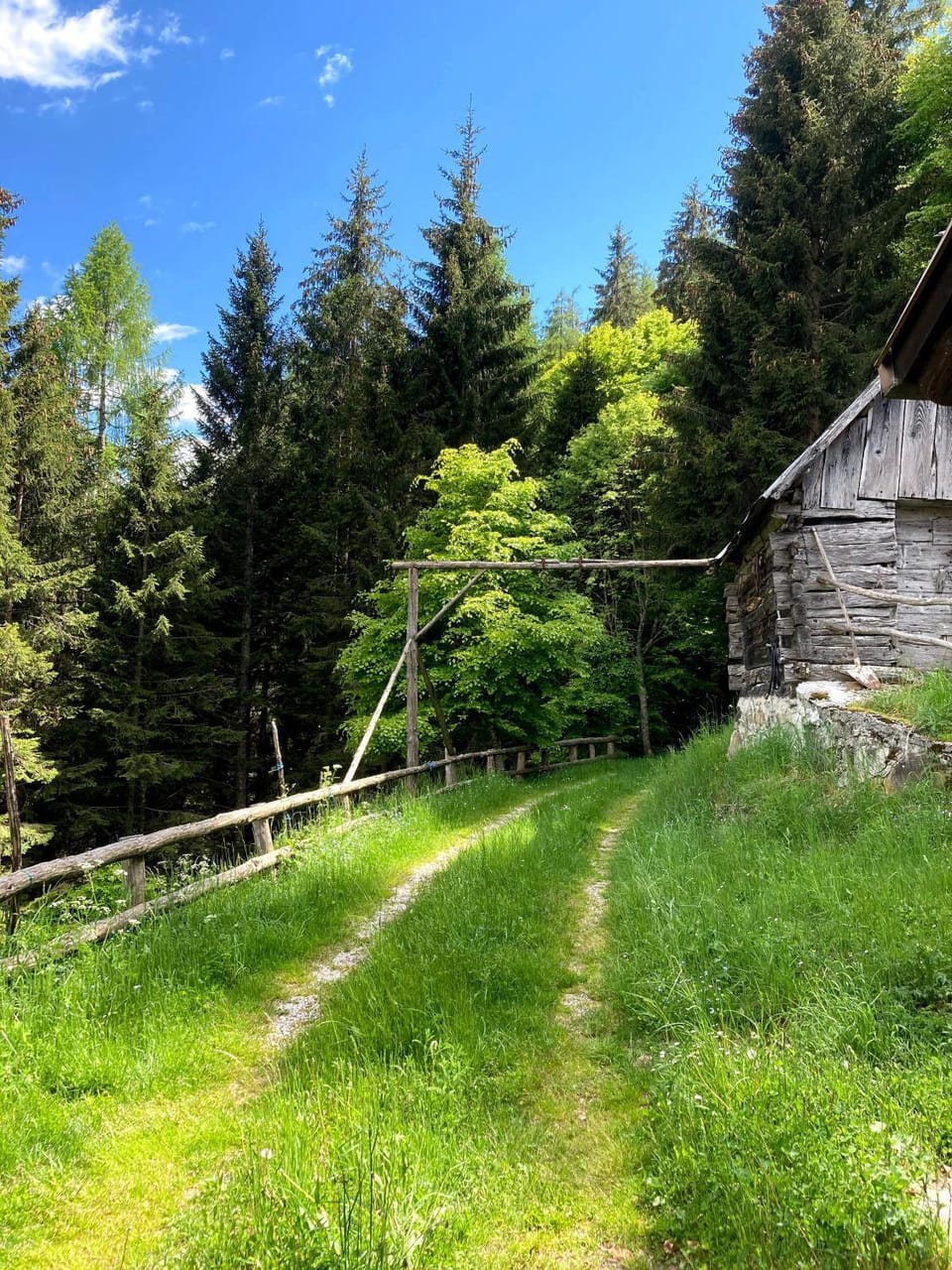 Natural landscape