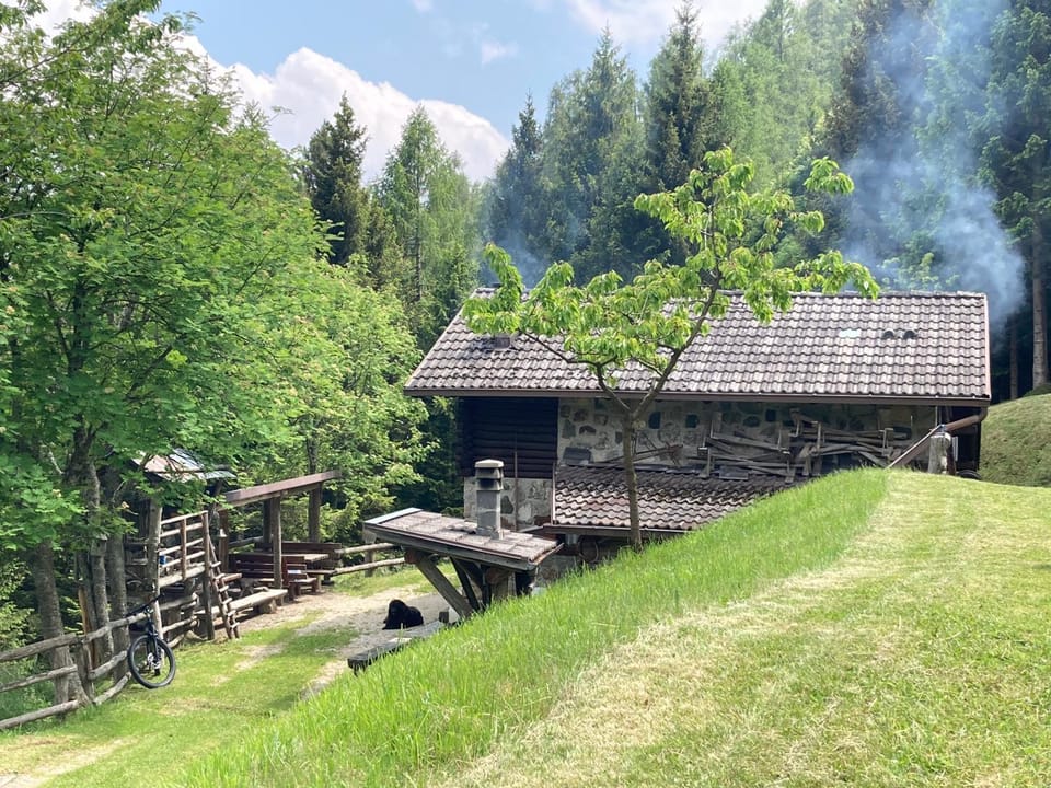 Garden, Garden view