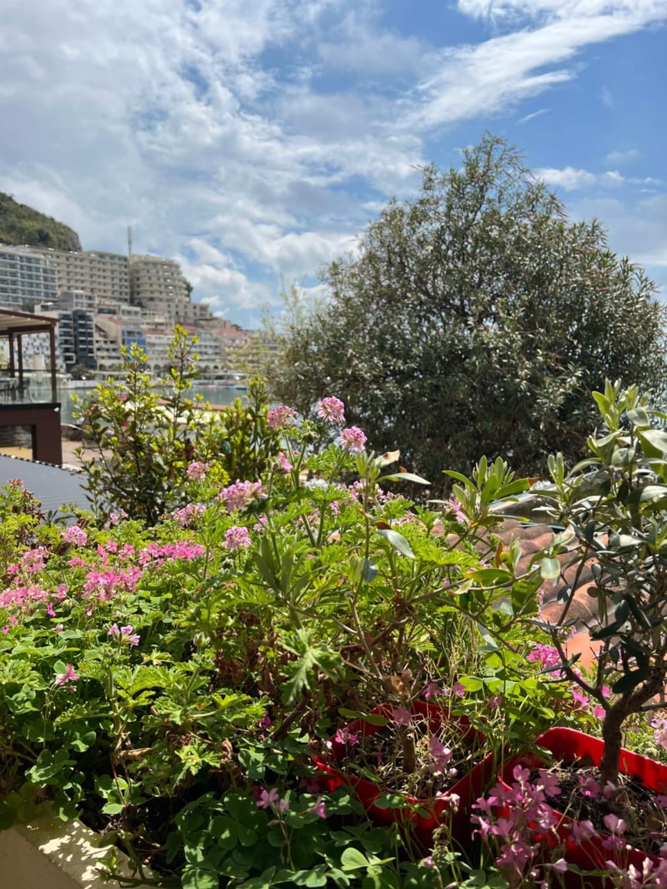 Apartment Plazza Rafailovici Apartment in Budva Municipality