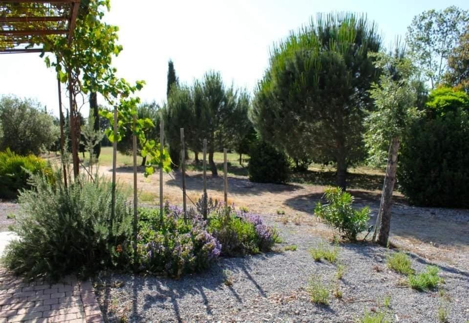 Natural landscape, Garden