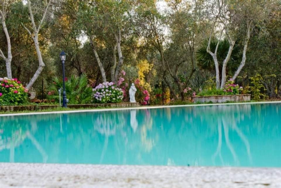 Garden, Swimming pool