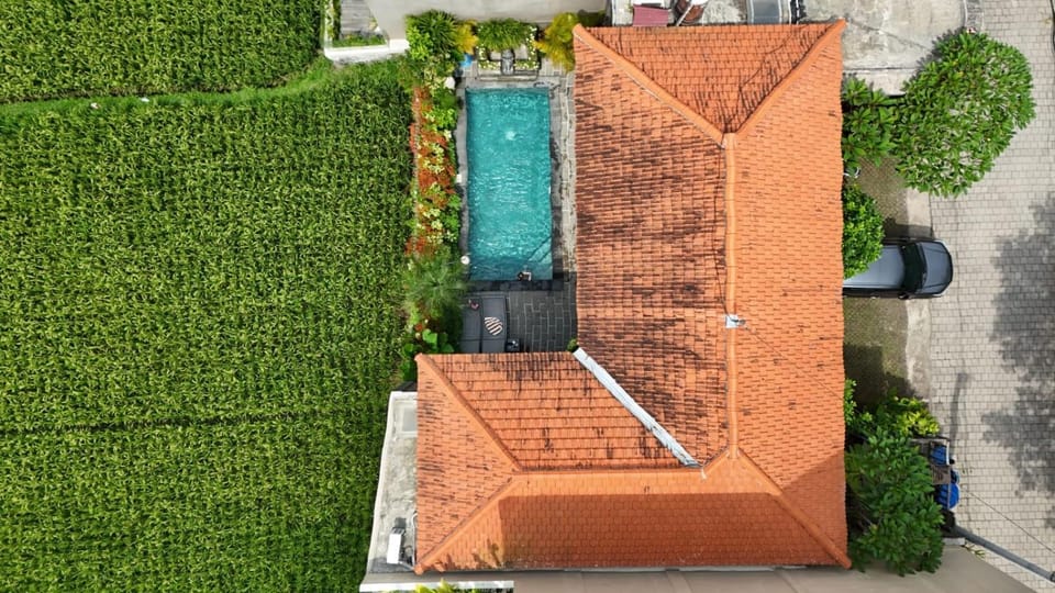 Property building, Spring, Day, Bird's eye view, Garden, Garden view, Pool view, Swimming pool, sunbed