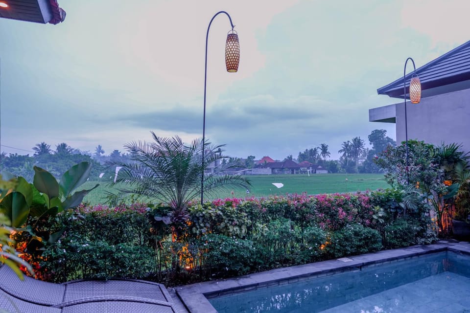Day, Garden, Garden view, Pool view, Swimming pool