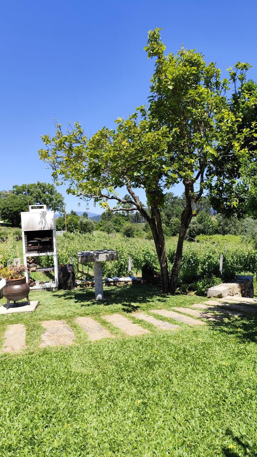 Spring, Natural landscape, Garden view