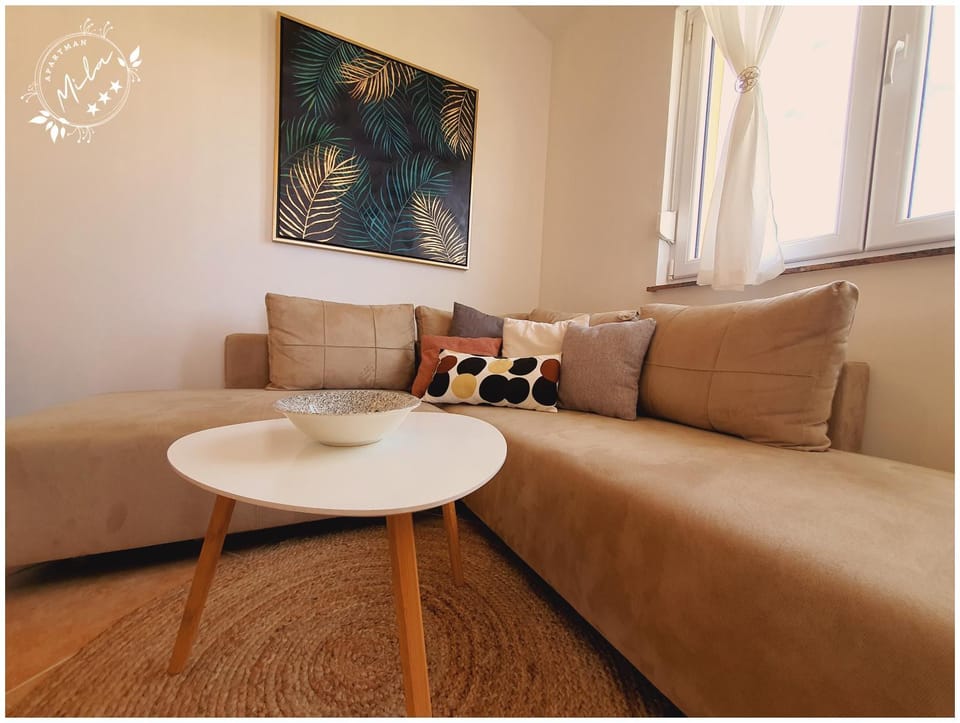 Day, Living room, Decorative detail