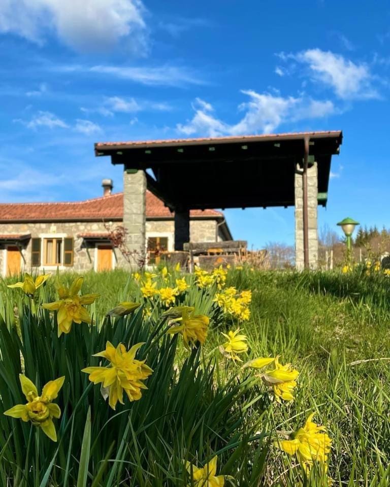 Colle del Faggio Green Immersion House House in Liguria