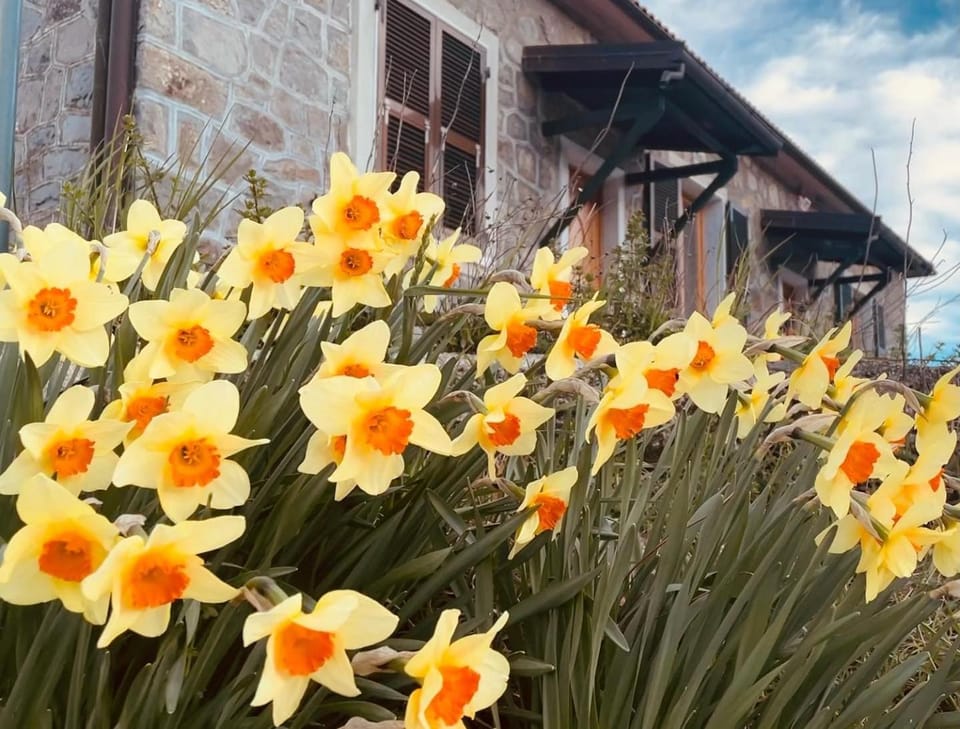 Colle del Faggio Green Immersion House House in Liguria