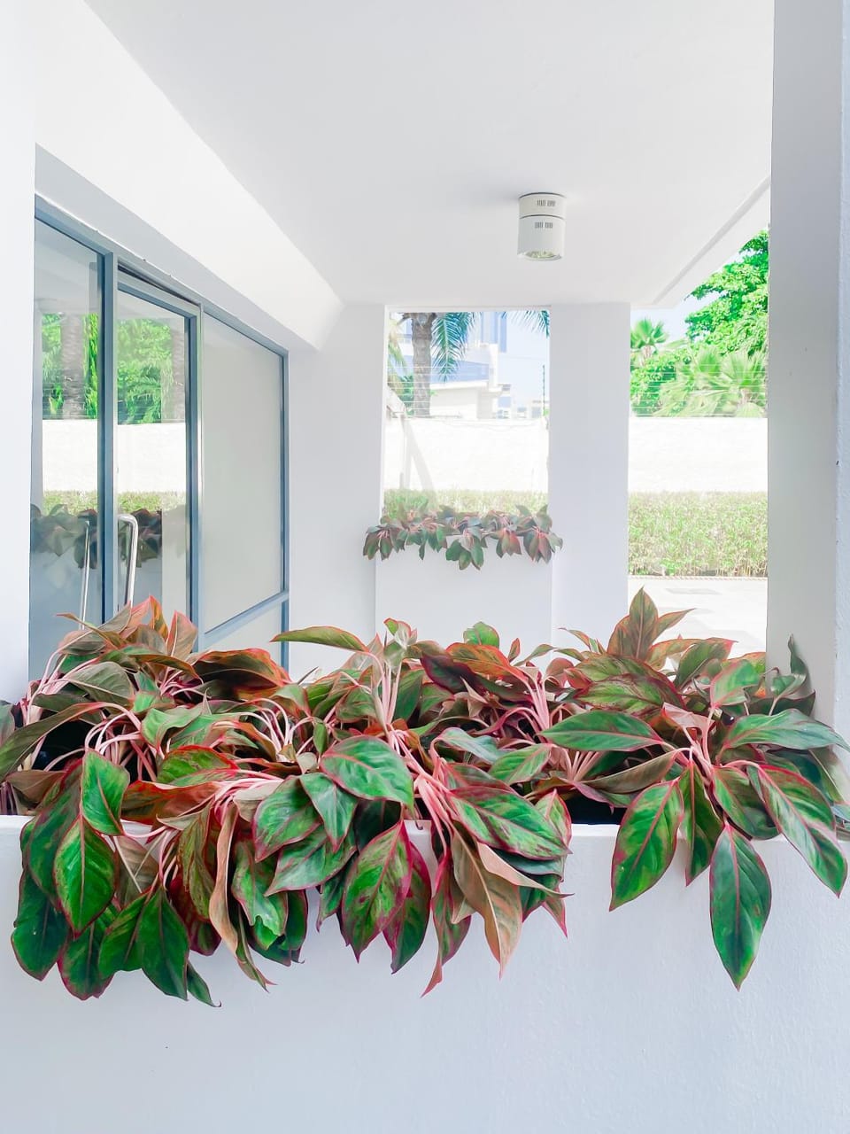 Facade/entrance, Lobby or reception