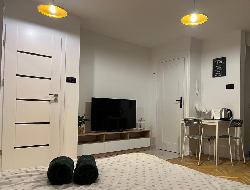 Bed, TV and multimedia, Photo of the whole room
