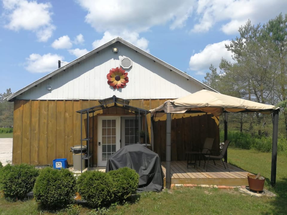 Patio, Facade/entrance