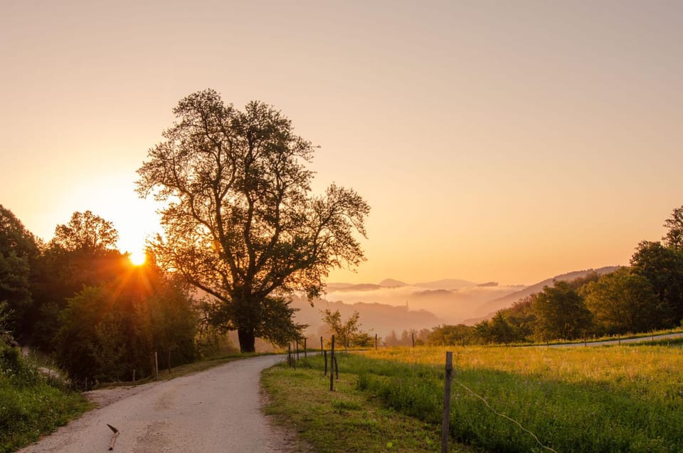Natural landscape, Hiking, Hiking, Sunrise